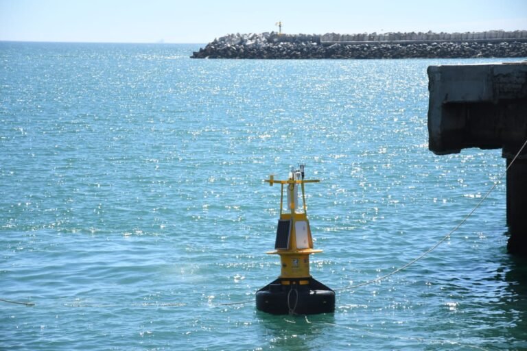 Realizan una prueba de funcionamiento de la boya oceanográfica en el Puerto local