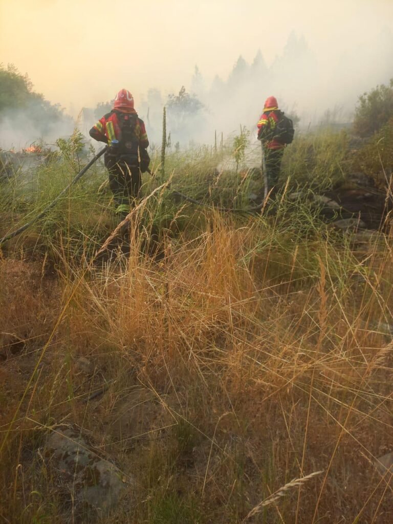 Anuncian que el incendio en la zona de Los Cipreses está circunscripto