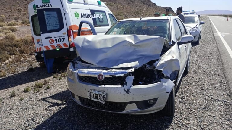 Dos guanacos muertos tras accidente vial en Ruta N°25