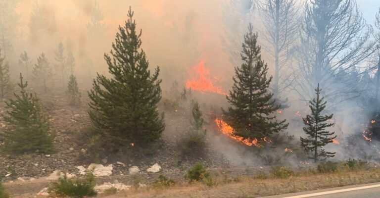 Incendio en Epuyén: la Ruta 40 se encuentra habilitada con extrema precaución