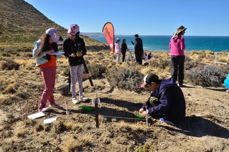 Rada Tilly invita a disfrutar del arte, la música y el teatro este fin de semana