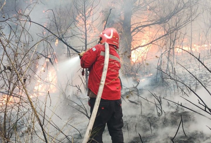 El incendio en Epuyén continúa activo y hay más de 400 personas trabajando en la zona 