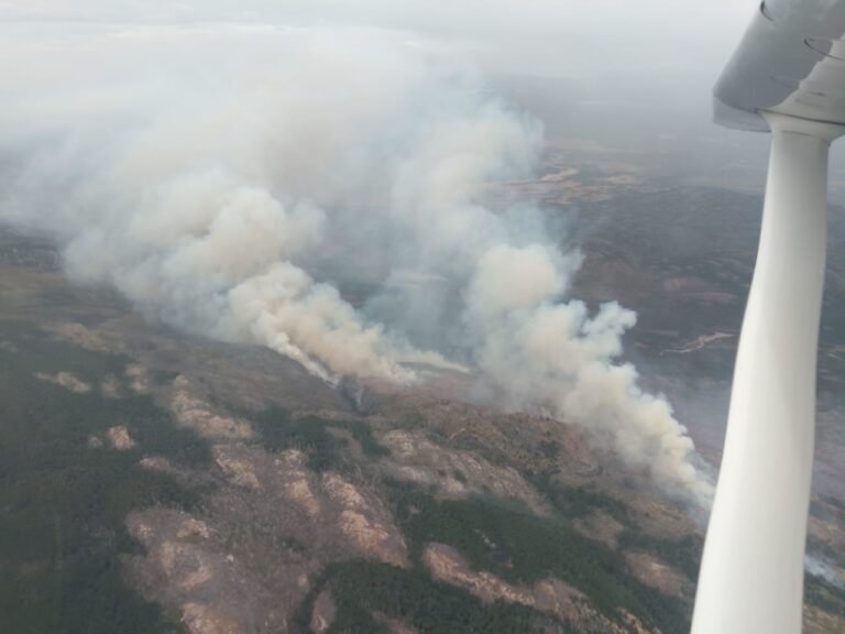 El incendio en la zona de Atilio Viglione podría ser intencional 