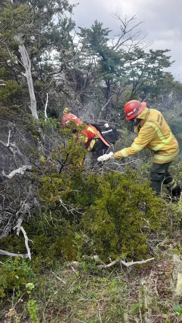 Brigadistas con equipamiento y medios aéreos, trabajan para controlar los incendios en Epuyén y Atilio Viglione