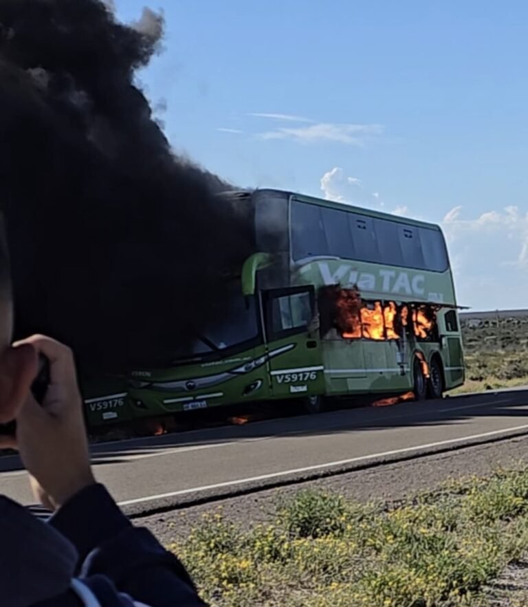 Colectivo se incendió en medio de la ruta: quedó reducido a cenizas