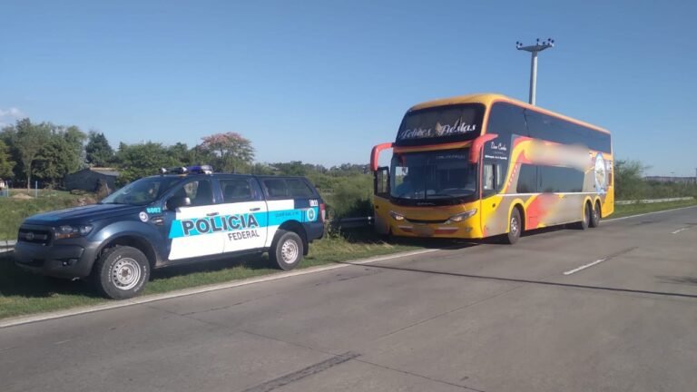 Detuvieron a dos hombres por el asesinato de una mujer durante un robo