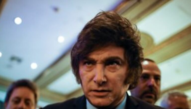 El Gobierno trabaja en un paquete de medidas “antifeministas” que incluye eliminar la figura de femicidio del Código Penal