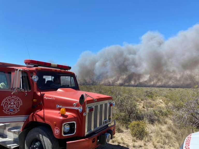 Cortan la Ruta 3 por el avance del incendio en Puerto Madryn