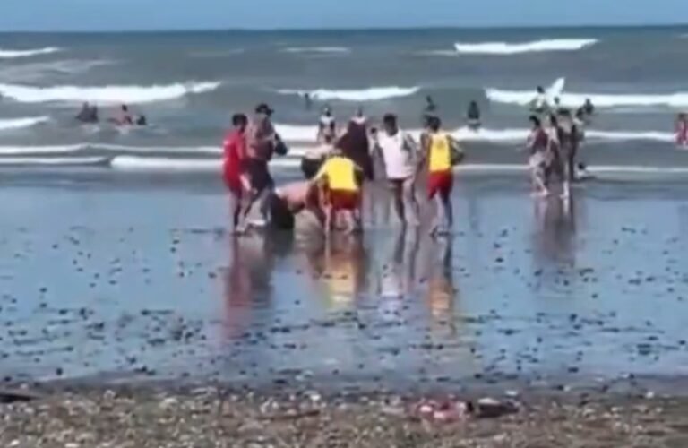 Suspendieron a los guardavidas que se pelearon con un bañista