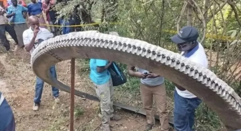 Cayó un gigantesco trozo de basura espacial en una aldea