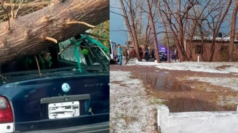Protegía su auto del granizo y murió aplastado por un árbol
