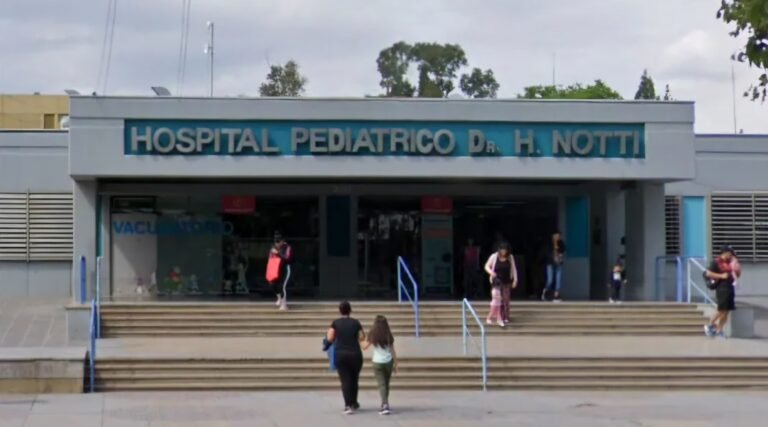 Una nena de diez años está en terapia intensiva después de que el portón de su casa se le cayera encima