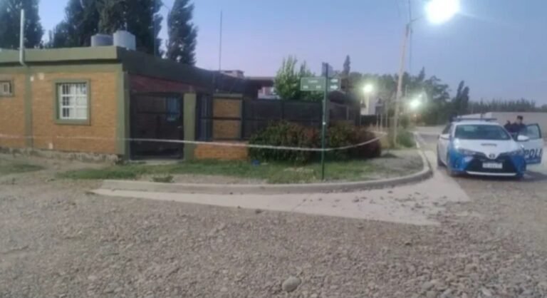 Una mujer denunció que fue abusada por su ex y logró escapar tras apuñalarlo en el cuello