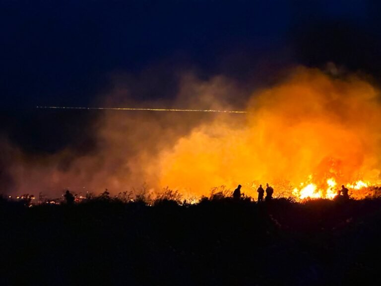 Lograron extinguir rápidamente el incendio de pastizales provocado por la caída de un rayo