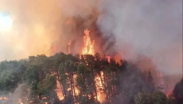 Continúa el incendio en Nahuel Huapi tras casi un mes de actividad