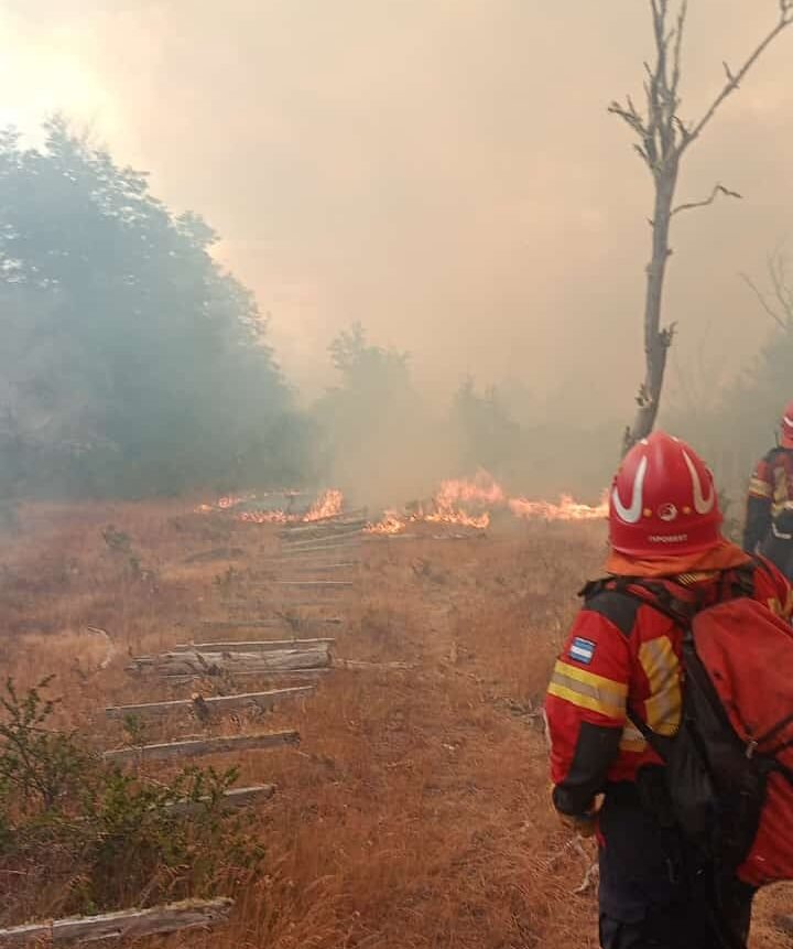 Brigadistas y combatientes continúan trabajando para sofocar los incendios