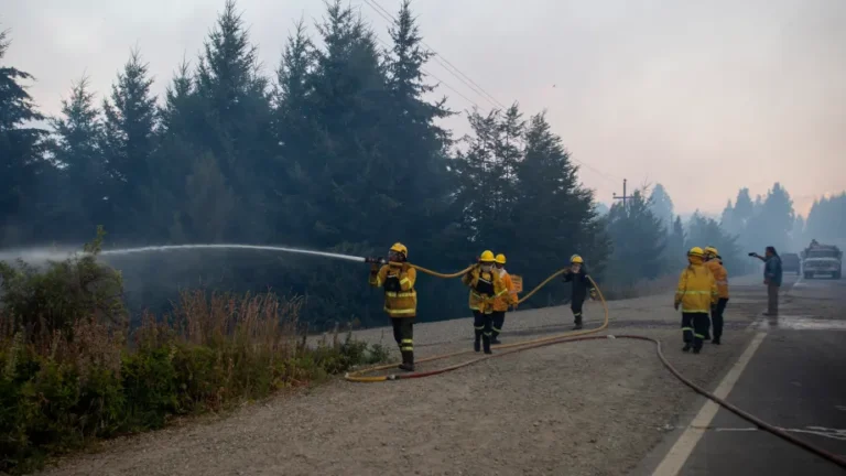 Robo a bomberos, personas pérdidas y mascotas heridas en El Bolsón