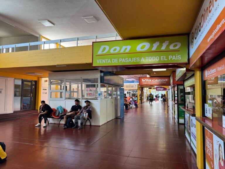 “En diciembre de 2024 hubo 850 salidas de colectivos”