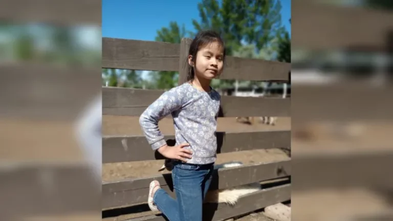 Continúa la búsqueda de una nena en el río Limay: amplían el área y suman perros