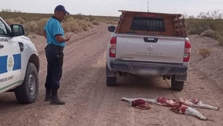Lo atraparon llevando carne de guanaco y un rifle sin documentación