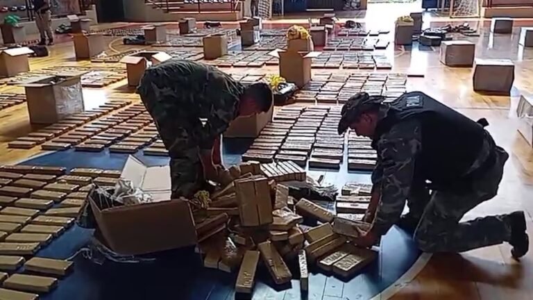 Encontraron 4 toneladas de marihuana dentro de un camión que viajaba desde Paraguay a la Costa argentina