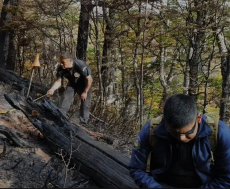 Cinco allanamientos por el incendio en Atilio Viglione: identificaron a los responsables
