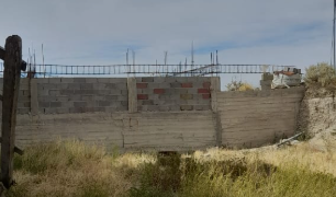 Un vecino de Km 5 mata a los perros que pasan por afuera de su casa
