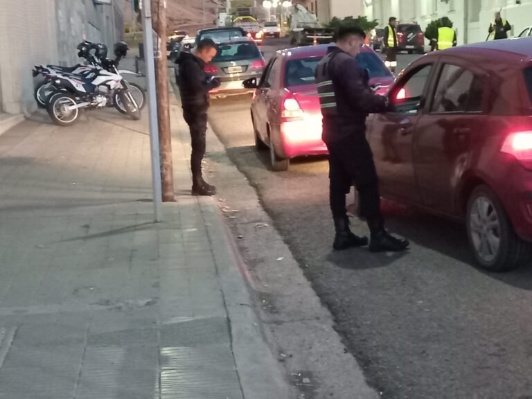 La multa por transporte ilegal supera el millón de pesos