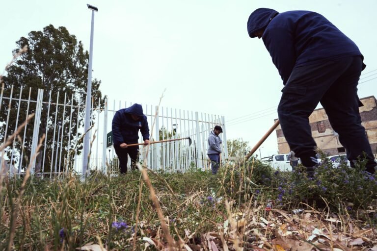 Maquinarias y cuadrillas de operarios limpian y desmalezan espacios públicos