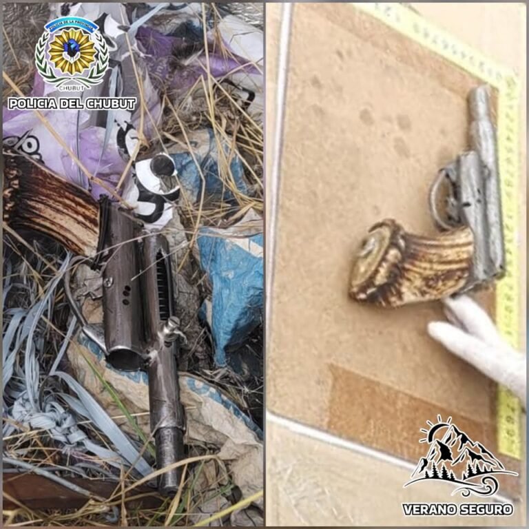 Tenía un arma de fuego y se la mostraba a los menores que pasaban por el lugar