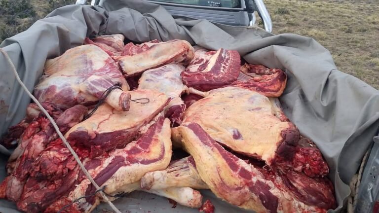 Lo sorprendieron con una carabina y faenando vacas ajenas a plena luz del día
