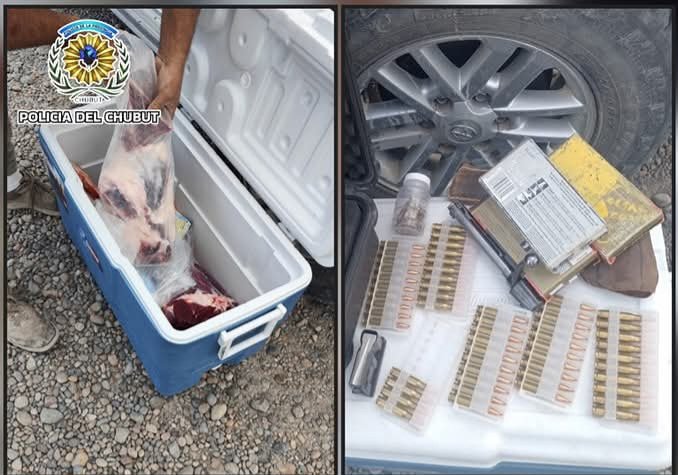 Descubrieron que llevaba guanaco despostado y armas en la caja de la camioneta 