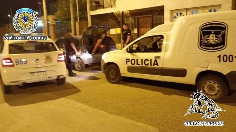 Quiso robar el estéreo de un auto y terminó preso