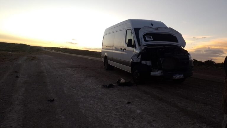 Chocó contra un guanaco cuando manejaba por Ruta 3