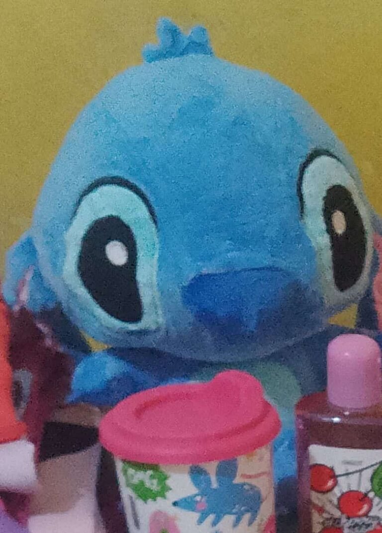 Buscan muñeco de apego perdido en colectivo