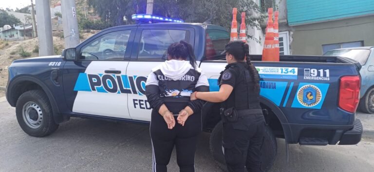 La PFA detuvo a una mujer con pedido de captura por tráfico de estupefacientes