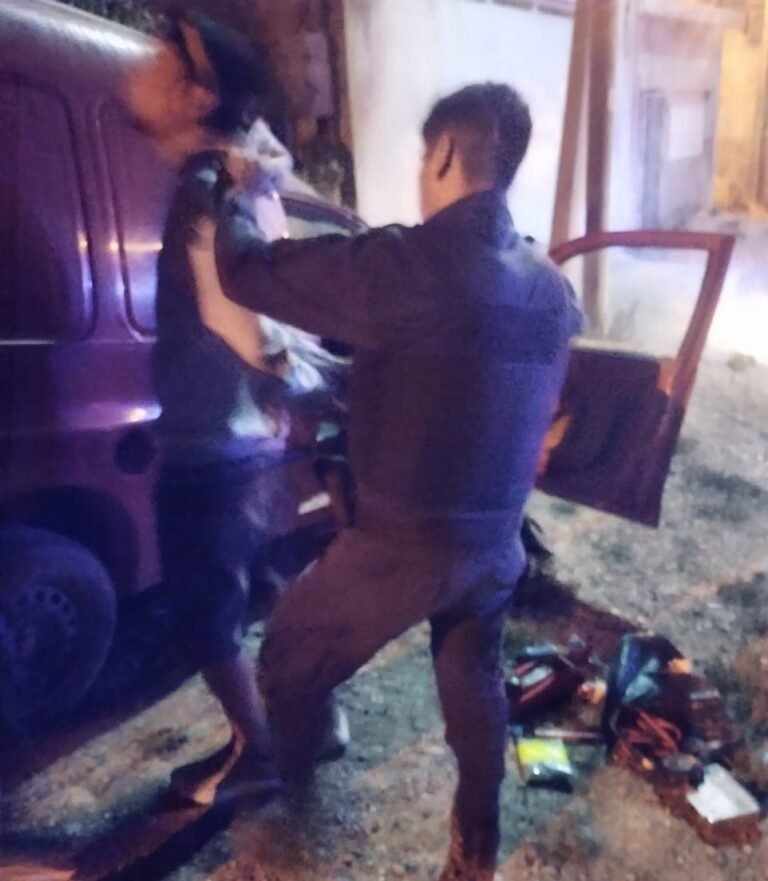 Intentaron robar un auto y varios elementos de otro vehículo en el barrio Ceferino