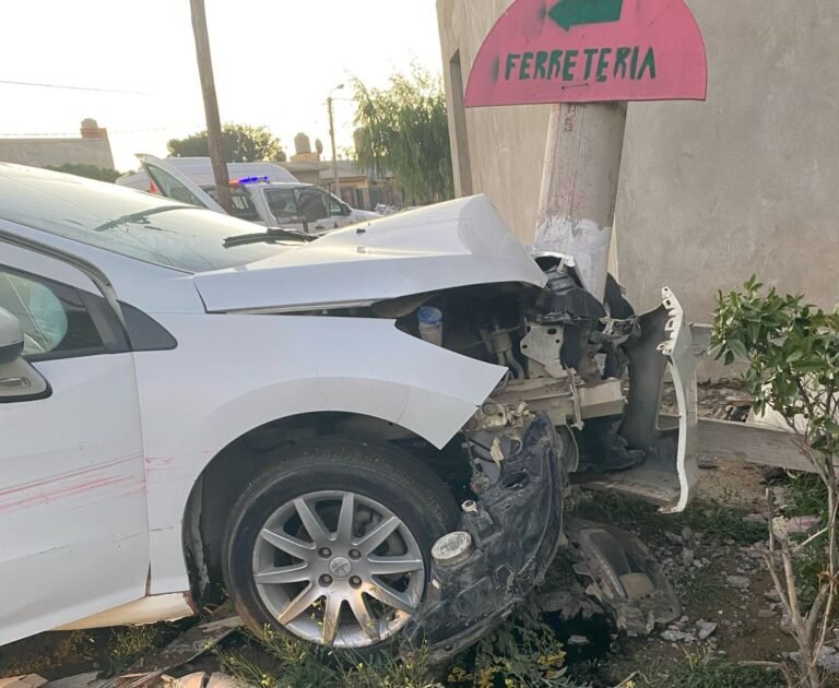 Una mujer chocó contra un poste de luz en Avenida Roca