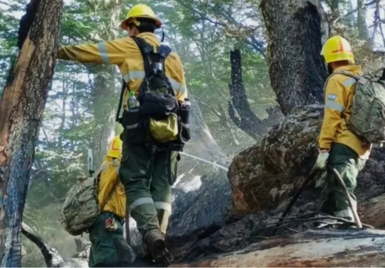 Brigadistas de la Armada combaten los incendios en El Bolsón