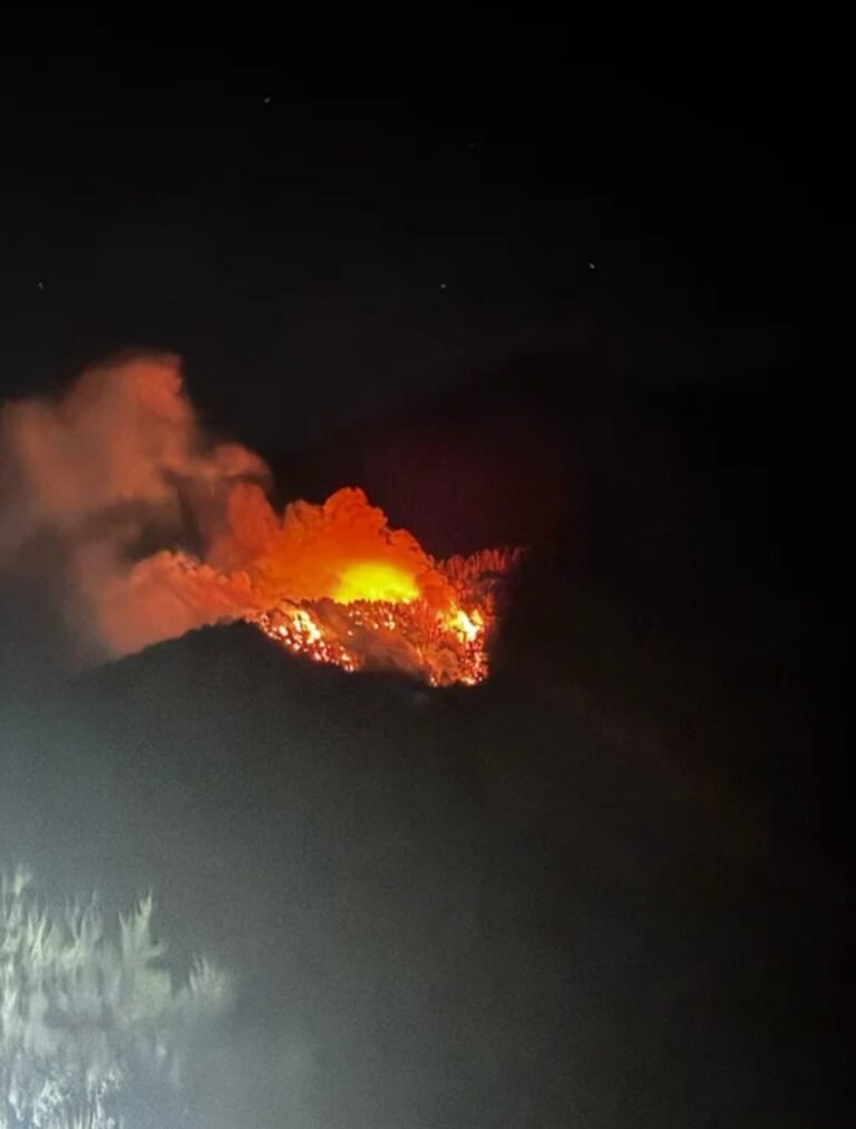 Nuevo incendio en el Parque Nacional Los Alerces: ya afectó más de 24 hectáreas