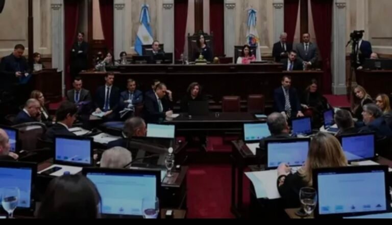 El Senado convirtió en ley el proyecto de suspensión de las PASO