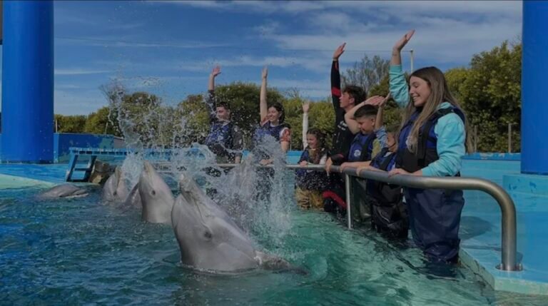 Aquarium de Mar del Plata anunció su cierre definitivo