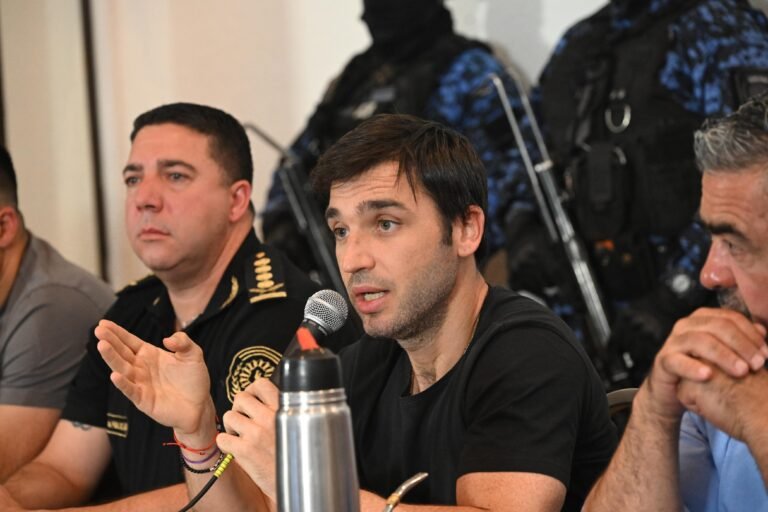 Torres confirmó que los detenidos por los incendios tienen vinculaciones con la RAM