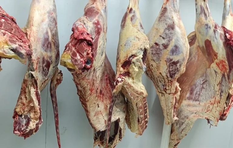 Interceptan vehículo que transportaba carne vacuna de forma irregular