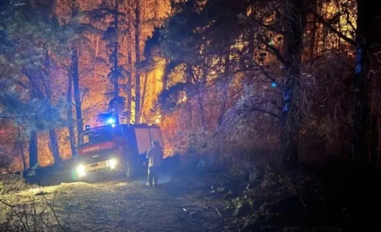 Santiago Hardie: “Los incendios están activos y se está trabajando en controlarlos”