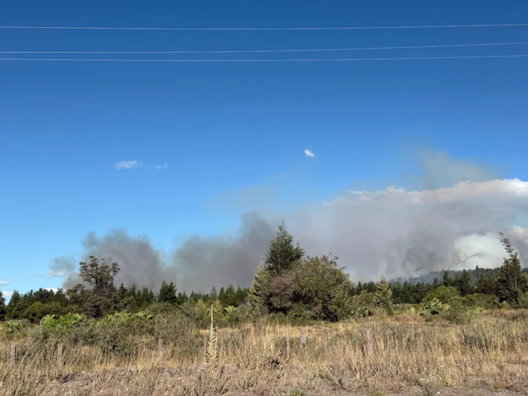 Se detectó un nuevo incendio en Los Cipreses