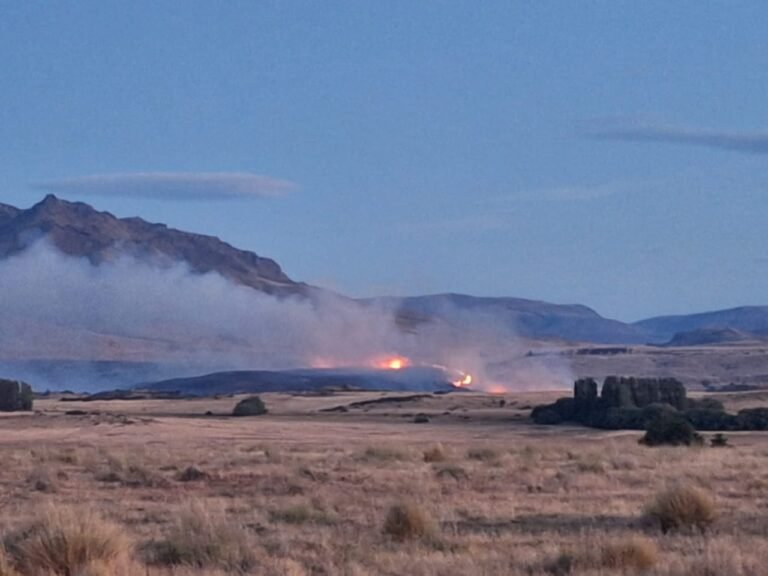 Fuerte operativo para controlar incendio forestal en Trevelin