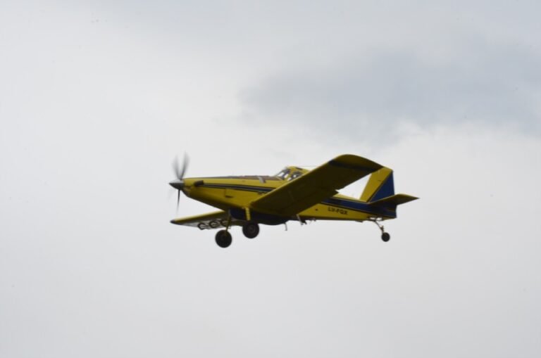 La lluvia alivió el combate del fuego en Los Alerces