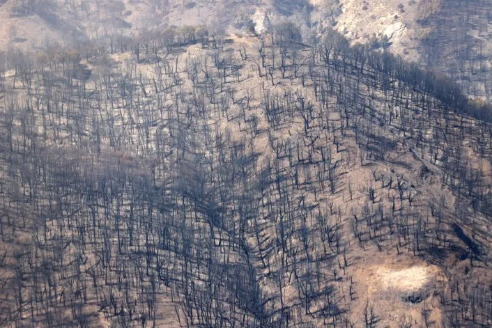 Continúa el incendio en el Parque Nacional Lanín: el fuego consumió 22 mil hectáreas