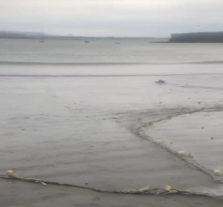 Pescadores artesanales: “No se puede trabajar, tenés que ser político o corrupto”